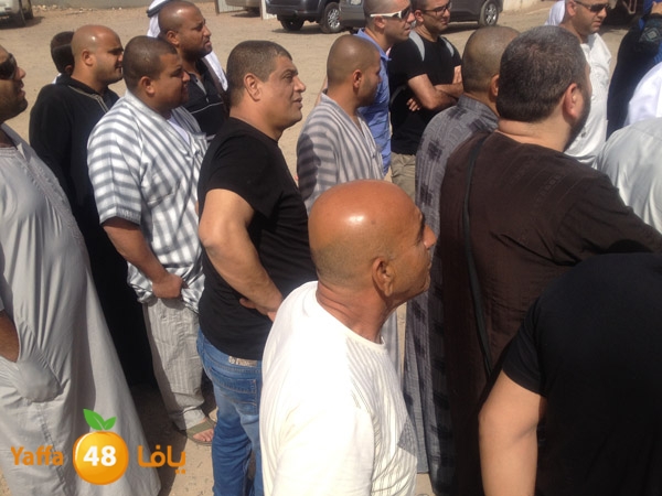 3omranludnnw (22).JPG